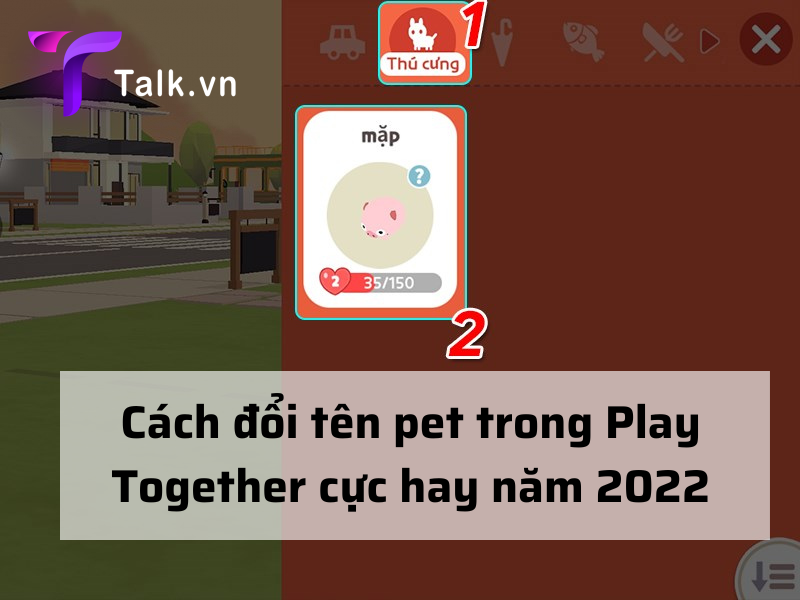 cách đổi tên pet trong play together
